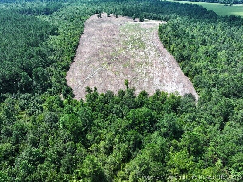 Property Photo:  Tbd Alamac (Off Of) Road  NC 28358 