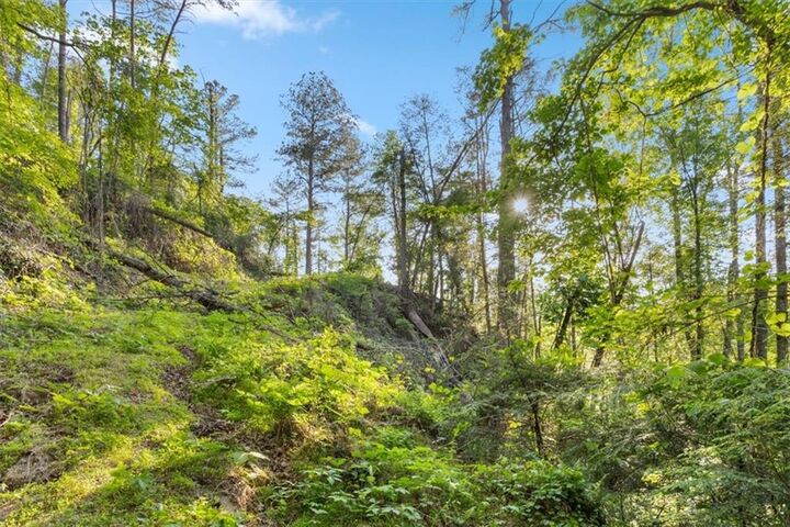 Property Photo: 0 Chastain Court GA 30148