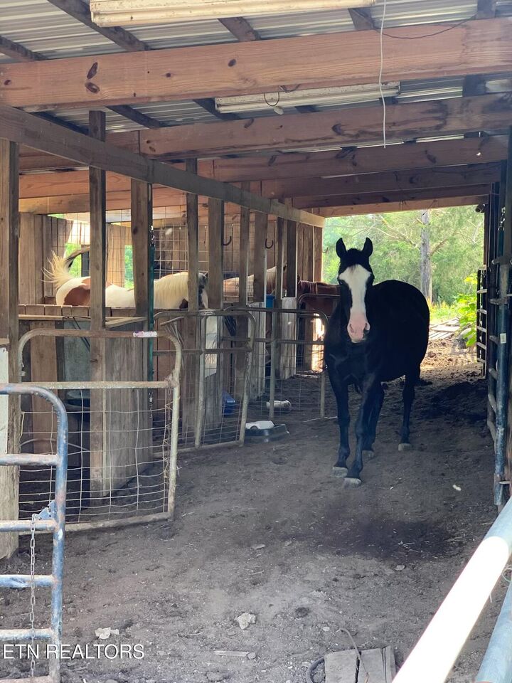 Property Photo:  5506 Raccoon Valley Drive  TN 37938 