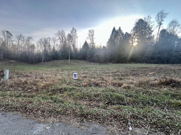 Property Photo:  Lot 11 Hensley Road  KY 40729 