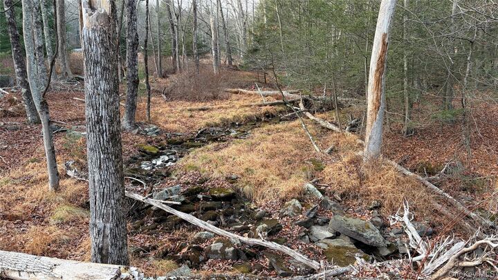 Property Photo: X Aldrich Road NY 12790