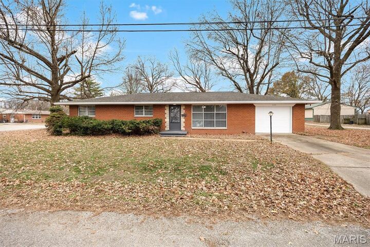 220 E 8th Street  Marissa IL 62257 photo