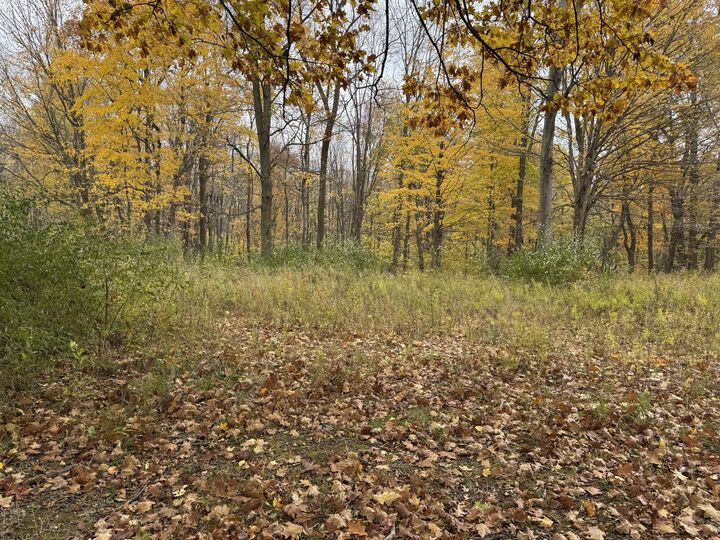 Property Photo:  000 W Clear Lake Road  MI 49107 