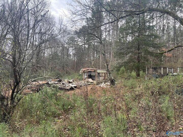 Property Photo: 123 Hitt Road AL 35603
