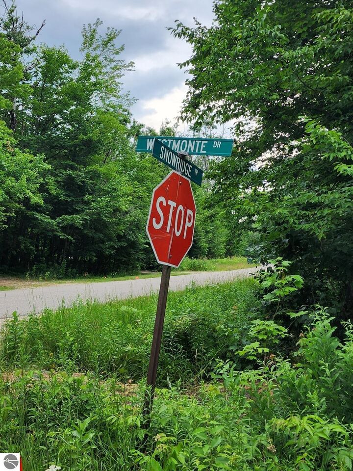 Property Photo: 5165 Snowridge Trail MI 49730