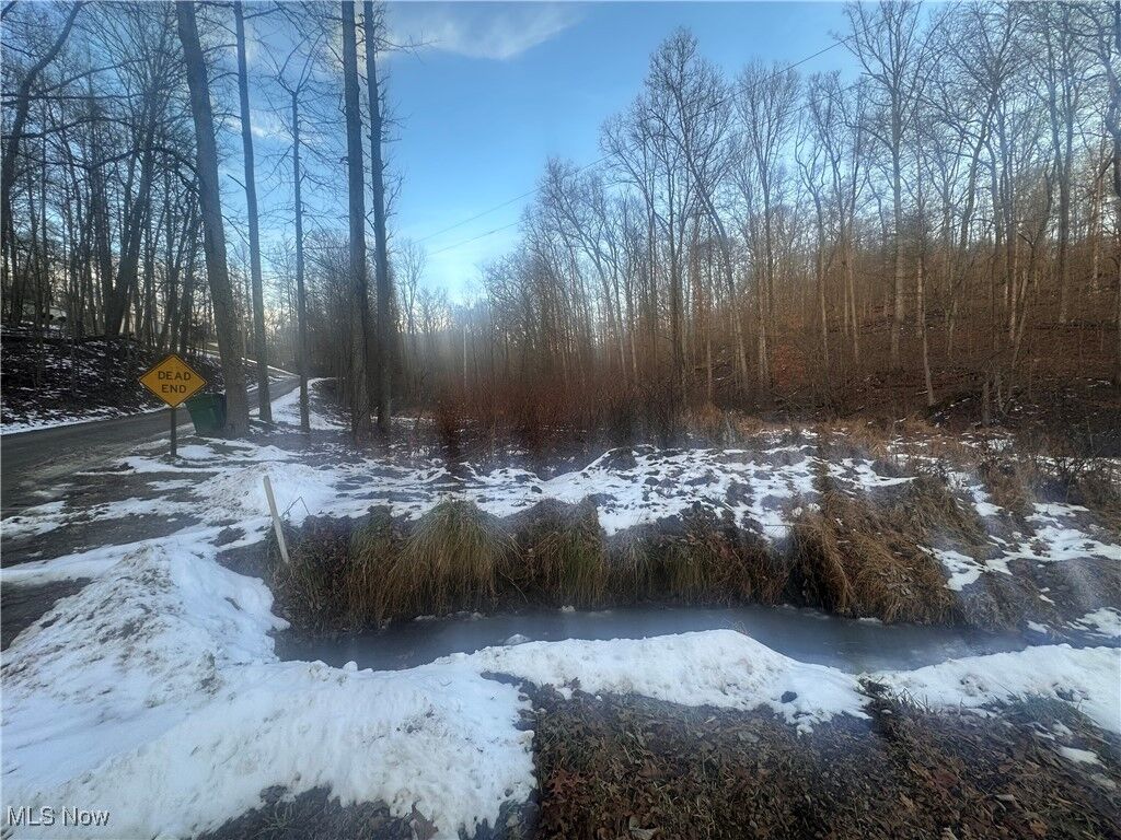 Property Photo: 0 McKee Hill Road OH 43822