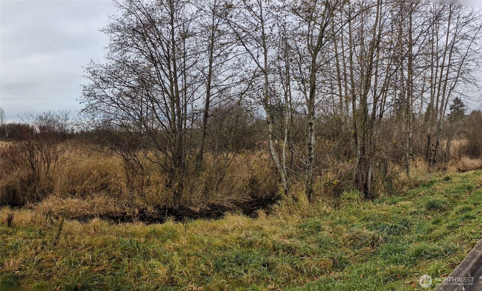 Property Photo:  0  Second Avenue  WA 98248 