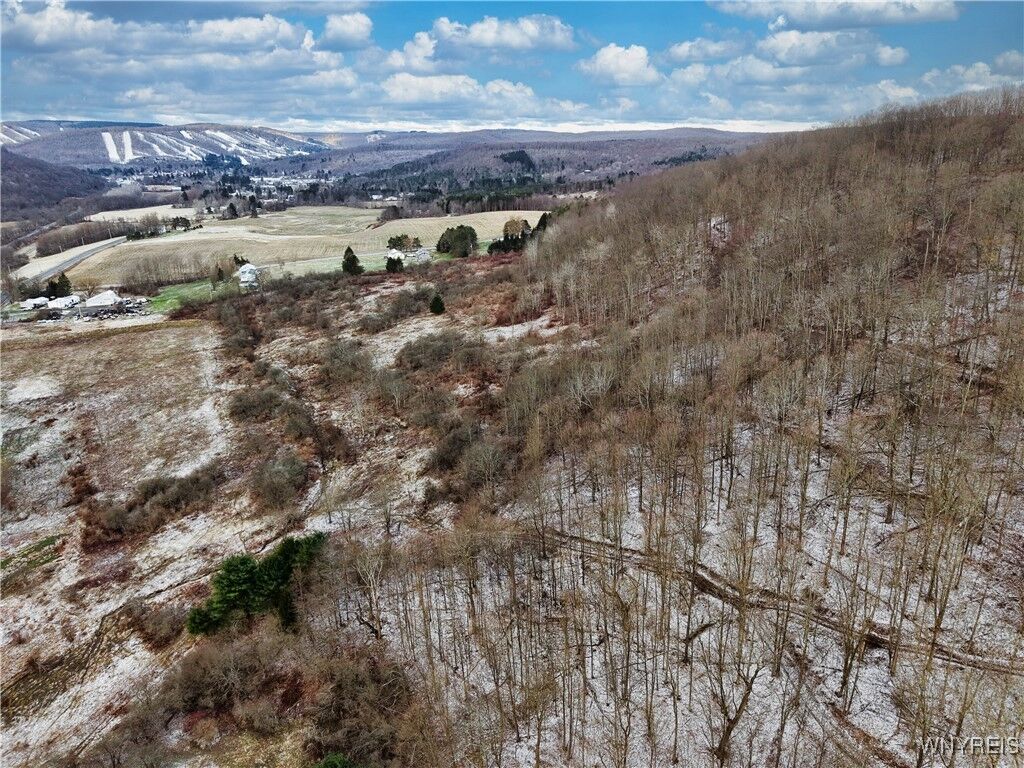 Property Photo: 6096 Nys Rte 242 Lot #1 NY 14731