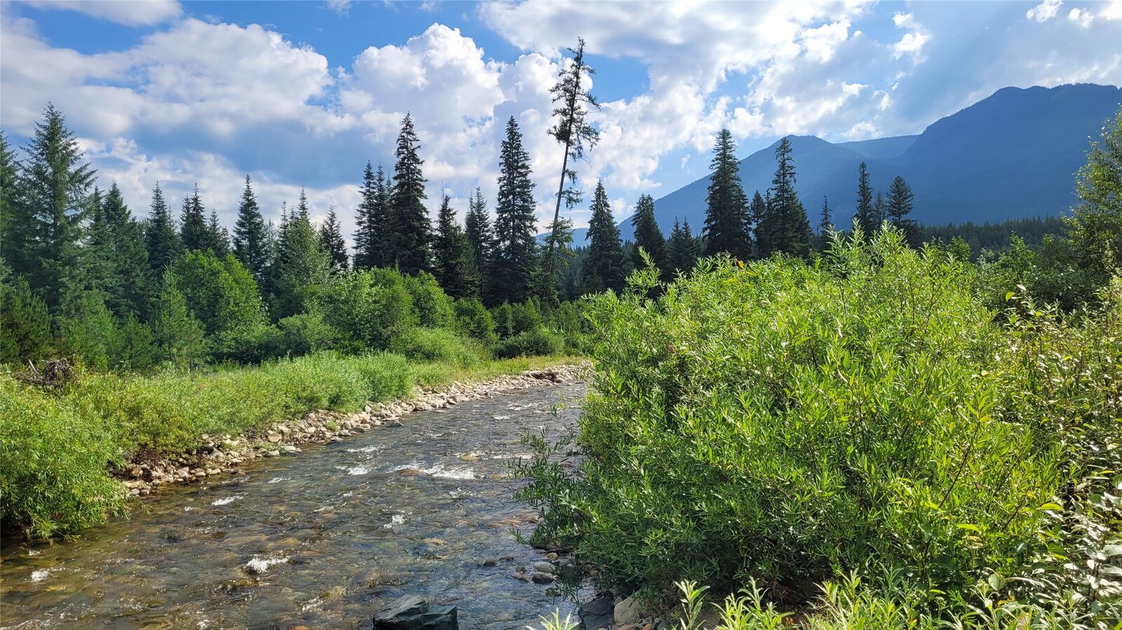 Property Photo:  177 Double Creek Lane  MT 59935 