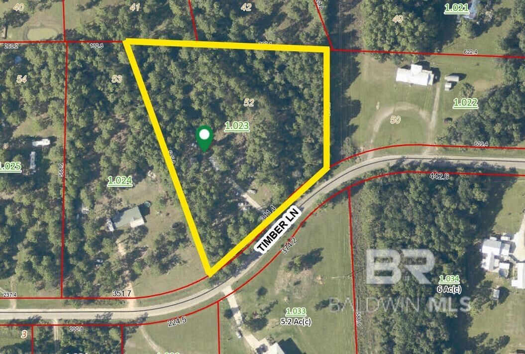 Property Photo:  26785 Timber Lane  AL 36530 