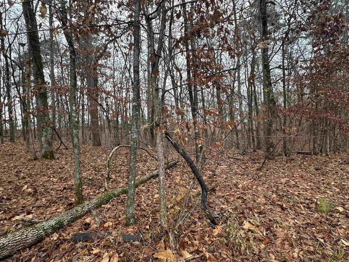 Property Photo: Tbd Dogwood Trail AR 72015