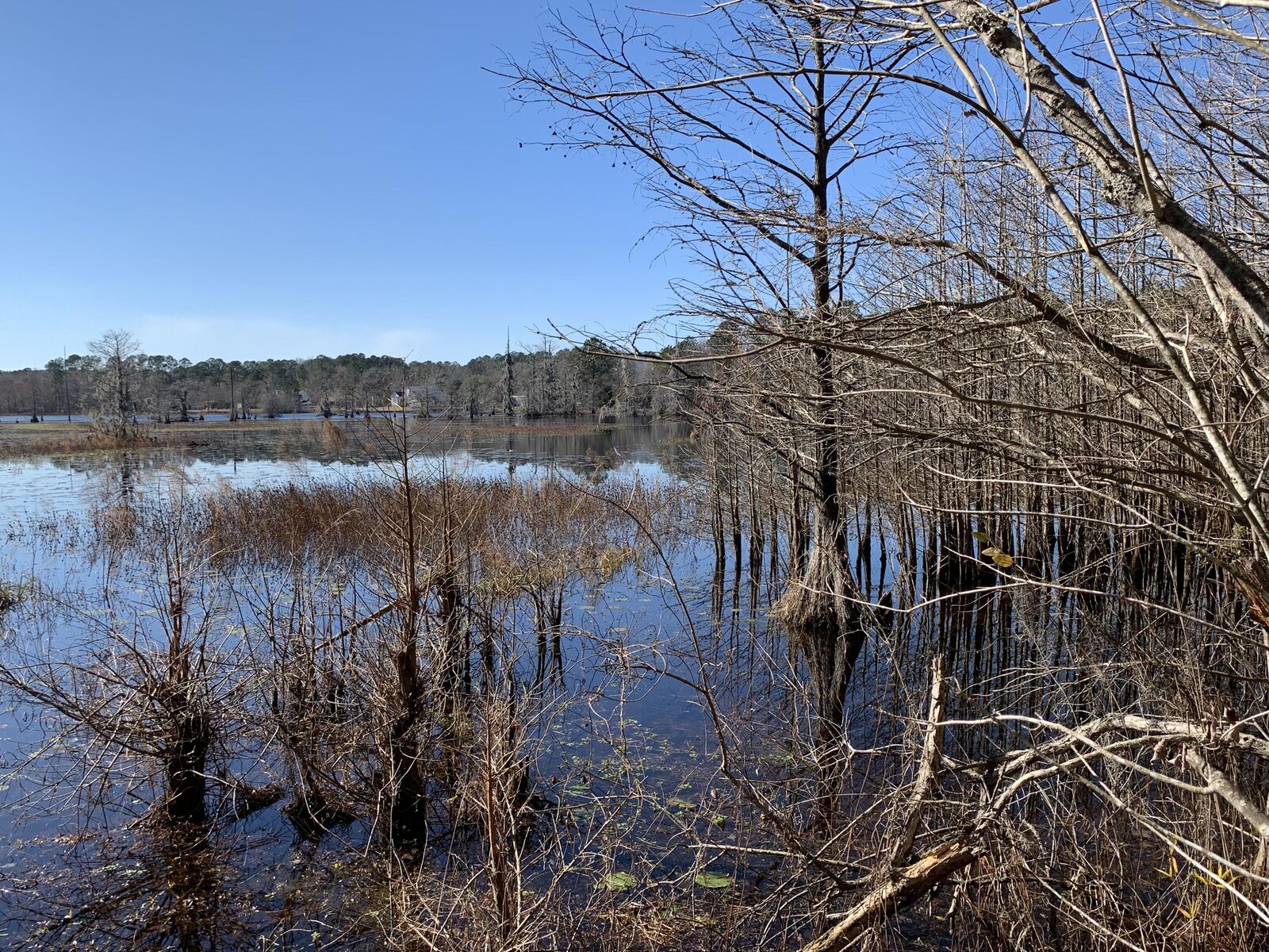 Property Photo: 944 Hunt Drive SC 29450