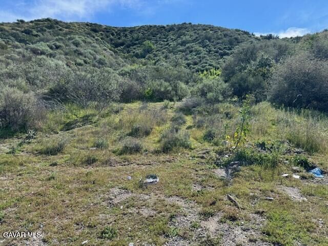 Property Photo:  17930 Scherzinger Lane  CA 91387 