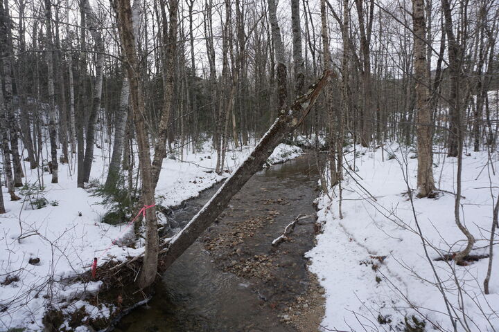 Property Photo: M13l18a-1 Redding Road ME 04219