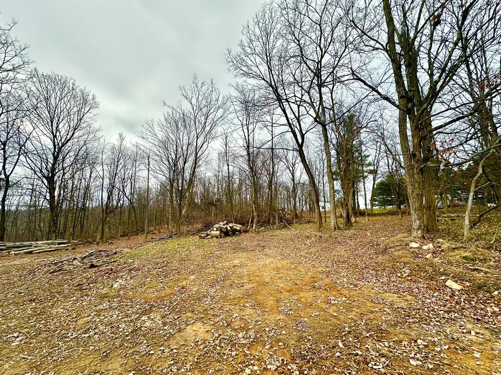 Property Photo:  0 Potts Hill Road  OH 45612 