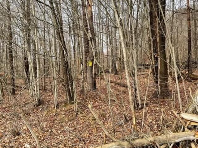 Property Photo: 00 Pennsylvania Avenue West PA 16365