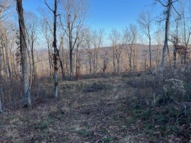 Property Photo:  000 Cooper Point  AR 72560 