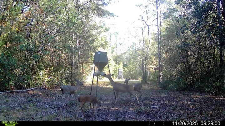 Parcel A&B Sunburst Drive  Crestview FL 32539 photo