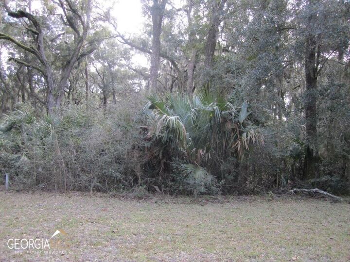 Property Photo:  V/L 1005 Doubloon Court  GA 31558 