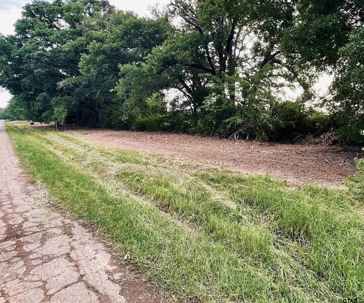 Property Photo: Lot 6 , Leach Woods East Cr 1560 TX 75410