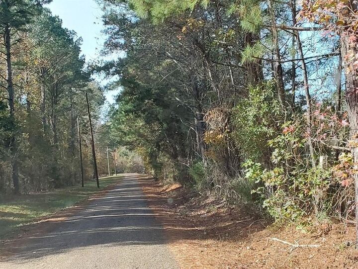 Property Photo: 0000 County Road 4560 TX 75565