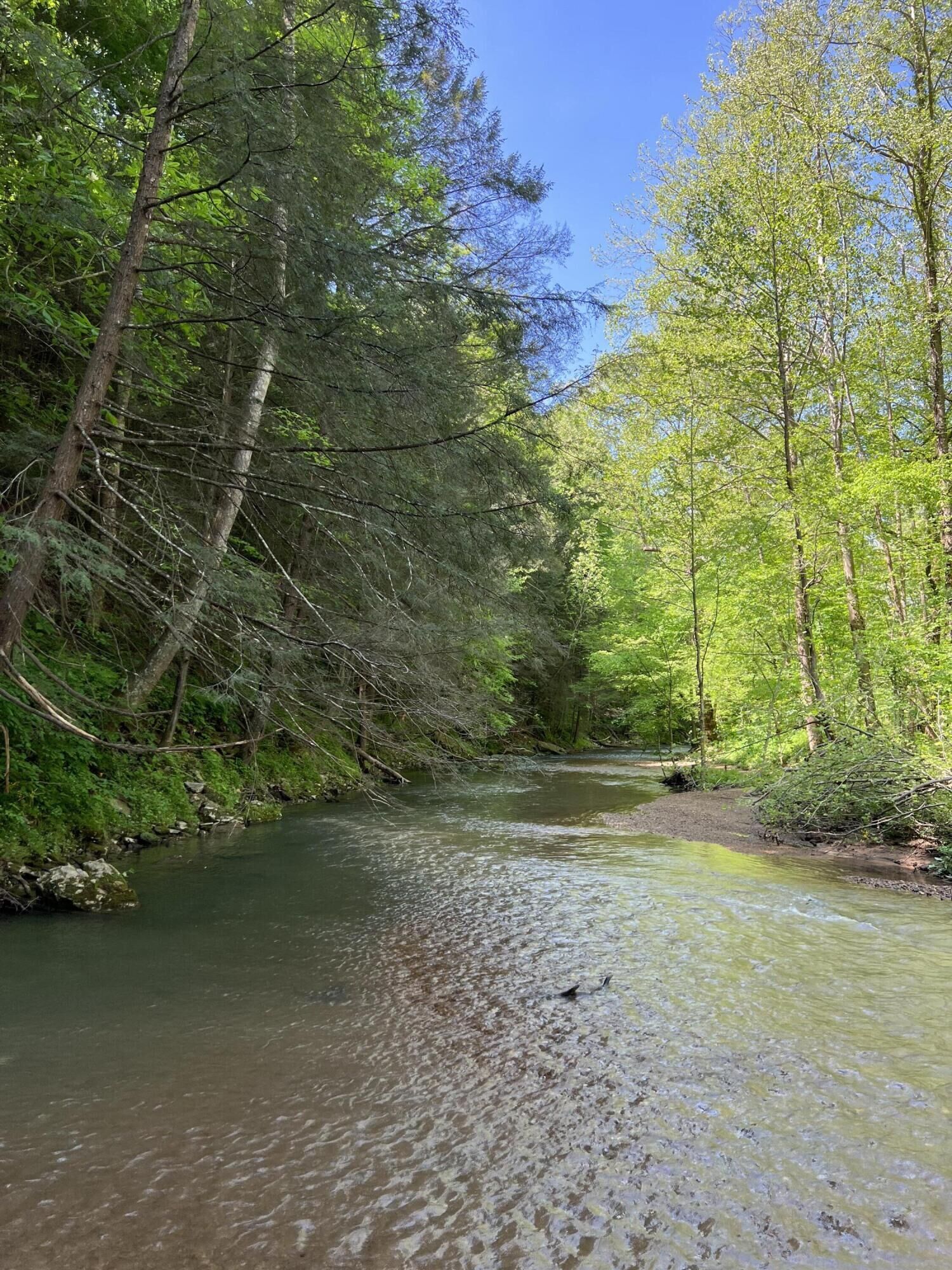 Property Photo: 2518 Tark Hill Rd KY 40447