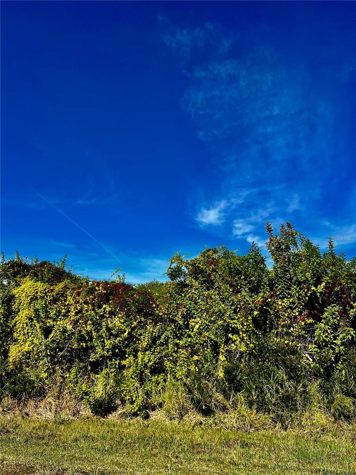 Property Photo: 10245 Winstead Avenue FL 34224