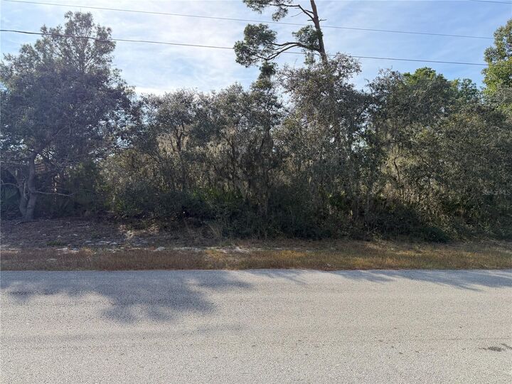 Property Photo: Woodstork Way FL 33843