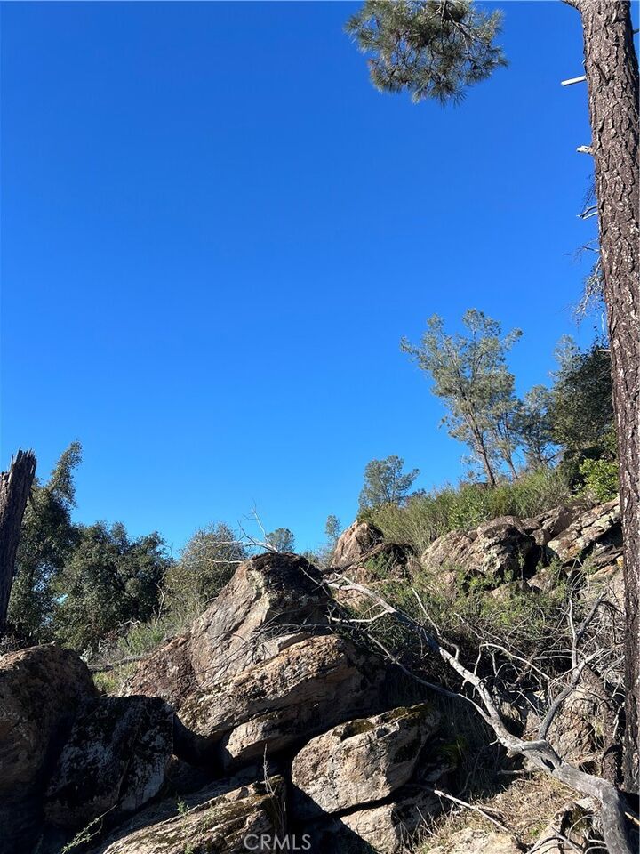 Property Photo:  20393 Powder Horn Road  CA 95467 