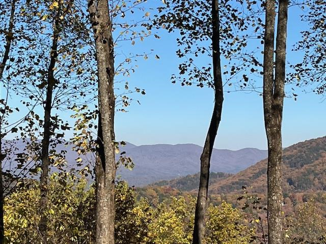 Property Photo:  1189 Walnut Ridge  GA 30536 