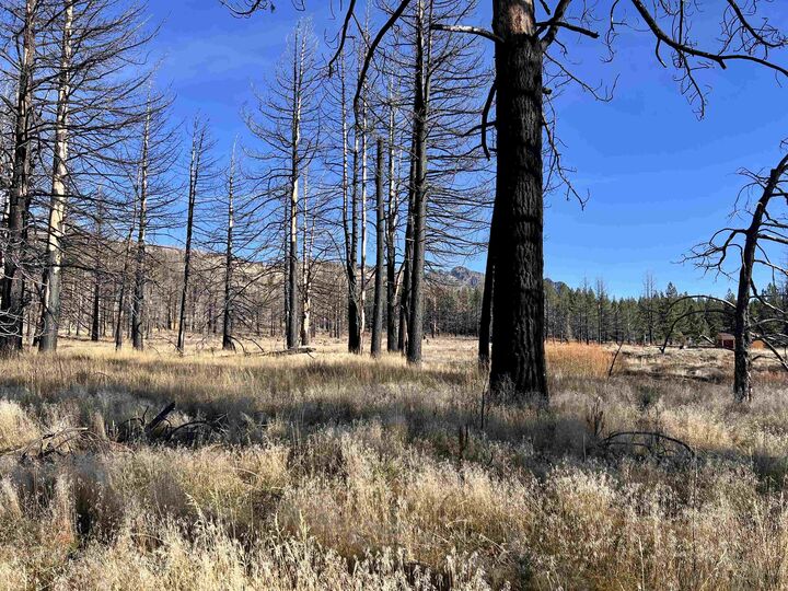 Property Photo:  10069 Dixie Valley Road  CA 96105 