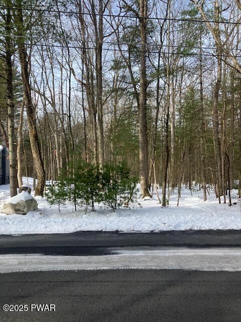 Property Photo:  Lot 4 Fox Road  PA 18328 