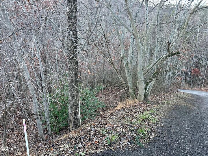 Property Photo: 1611 Mountain Dreams Way TN 37862