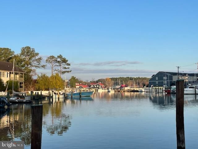 Property Photo: 216 E Chew Ave MD 21663