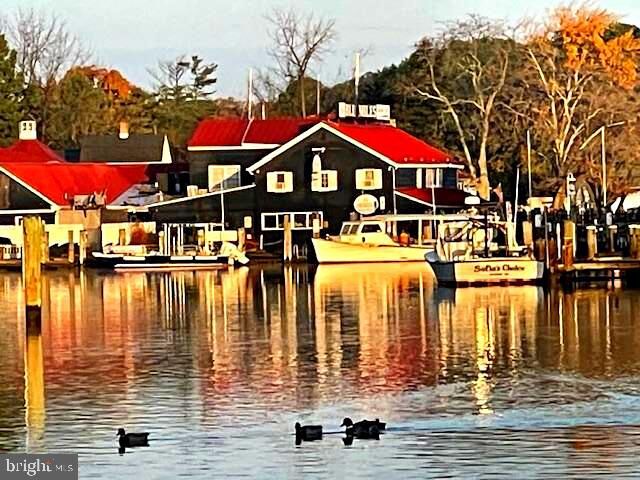 Property Photo:  216 E Chew Ave  MD 21663 