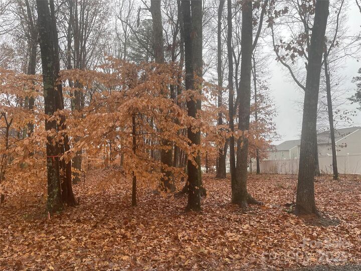 Property Photo:  8225 Teeter Drive  NC 28215 