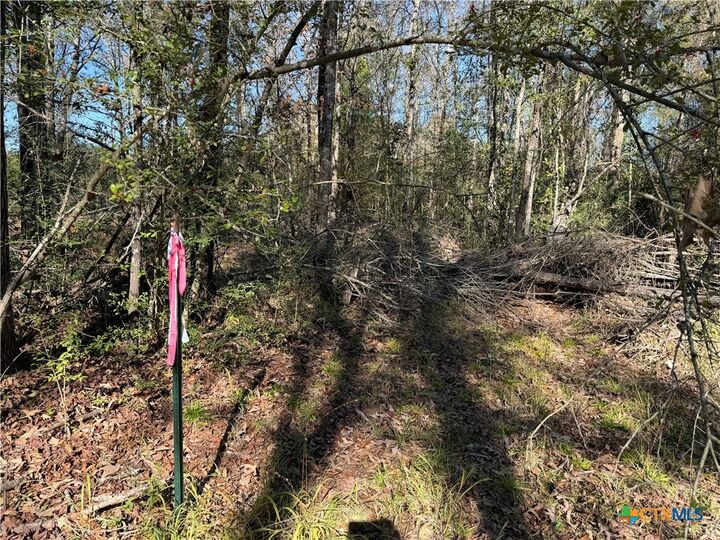 Property Photo: Tbd County Road 301 Tract 7 TX 75855