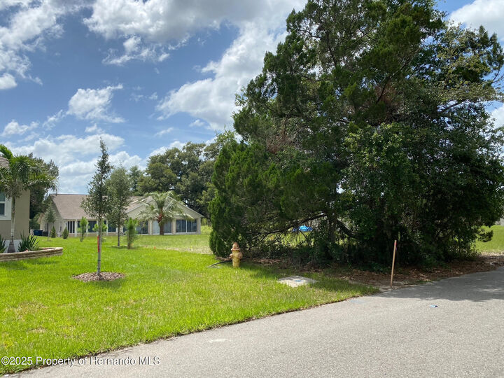 Property Photo:  5449 Chestnut Ridge Road  FL 33523 