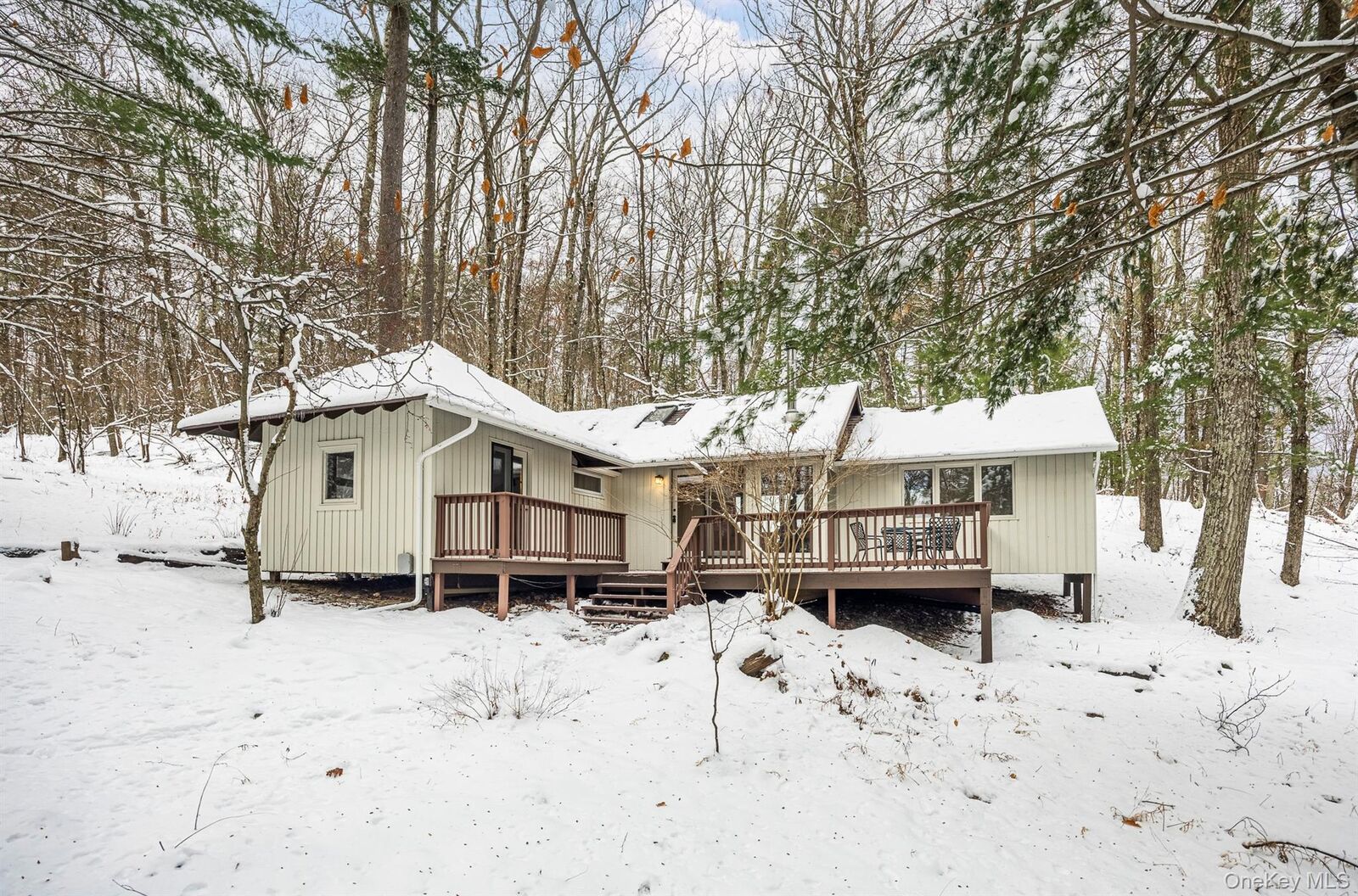 Property Photo:  267 Reed Road  NY 12037 