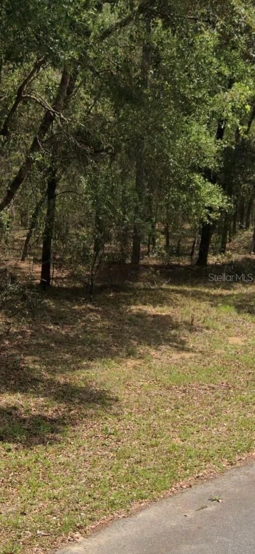 Property Photo: 9231 N Sherman Drive FL 34434