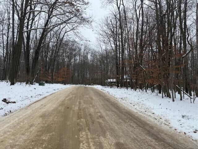 Property Photo:  12066 Red Feather Lane  MI 49346 