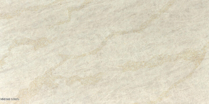 Property Photo: 321 Ski Way NV 89451