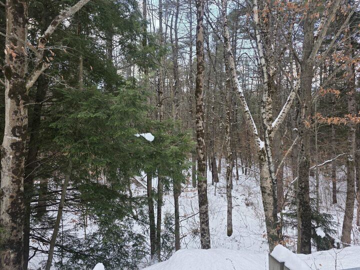 Property Photo:  0 Route 10  NH 03448 