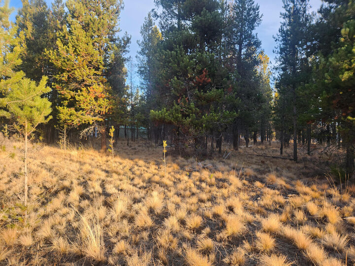 Property Photo: 16818 Brenda Drive OR 97707