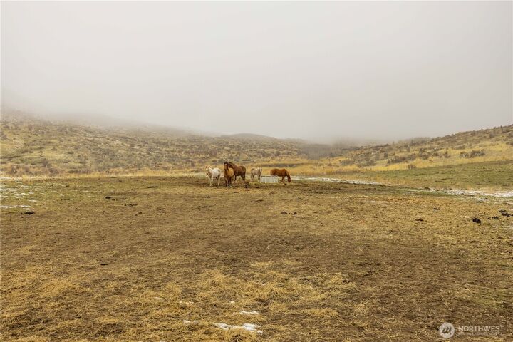 Property Photo: 12 Charlie Drive WA 98846