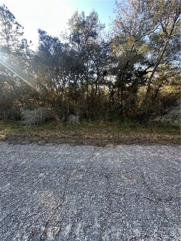 Property Photo: 3908 W Tropic Lane FL 34433