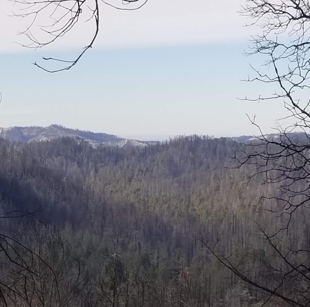 Property Photo: 20604 Little Basin Road CA 95006