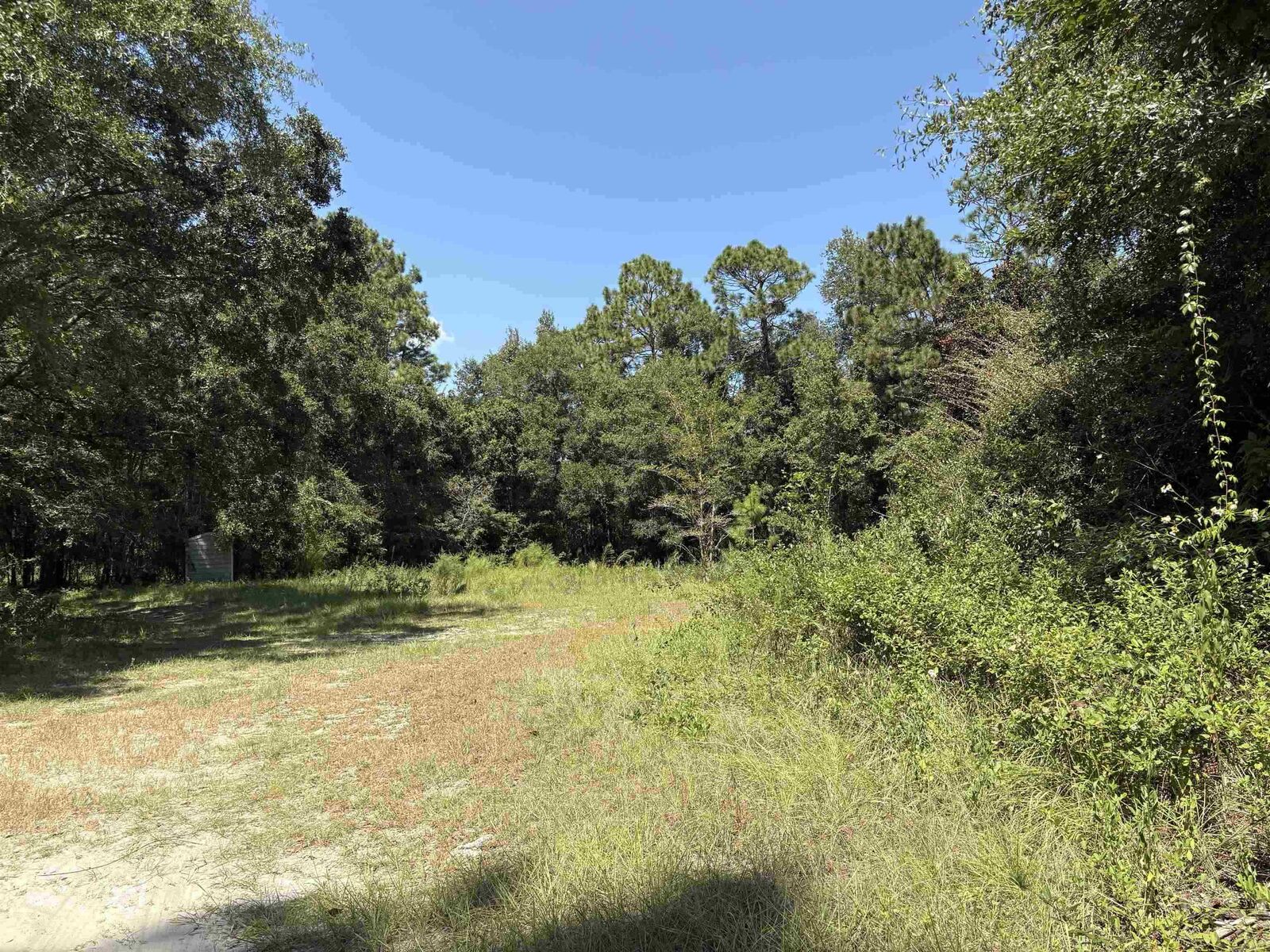 Property Photo: 9 Blue Waters Ct FL 32305