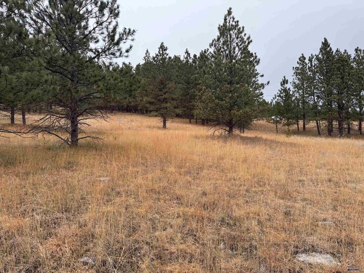 Property Photo: Tbd Lincoln Tarken Ln SD 57769