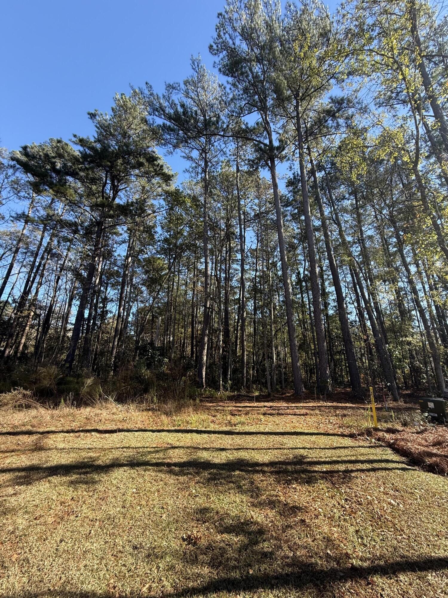 Property Photo: 0 Almond Court SC 29483